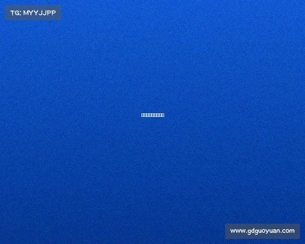 电子竞技俱乐部领队